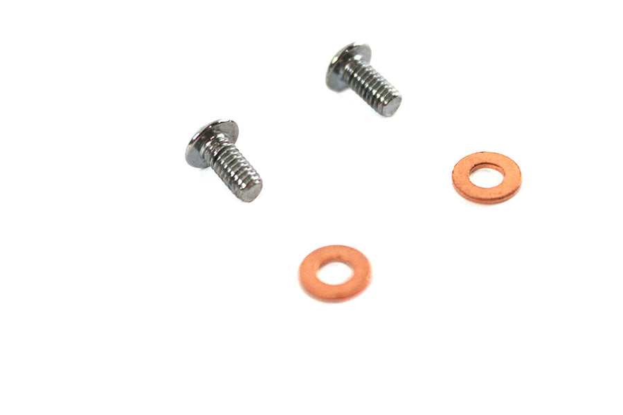 Colony 39mm Fork Slider Drain Screws #9910-4