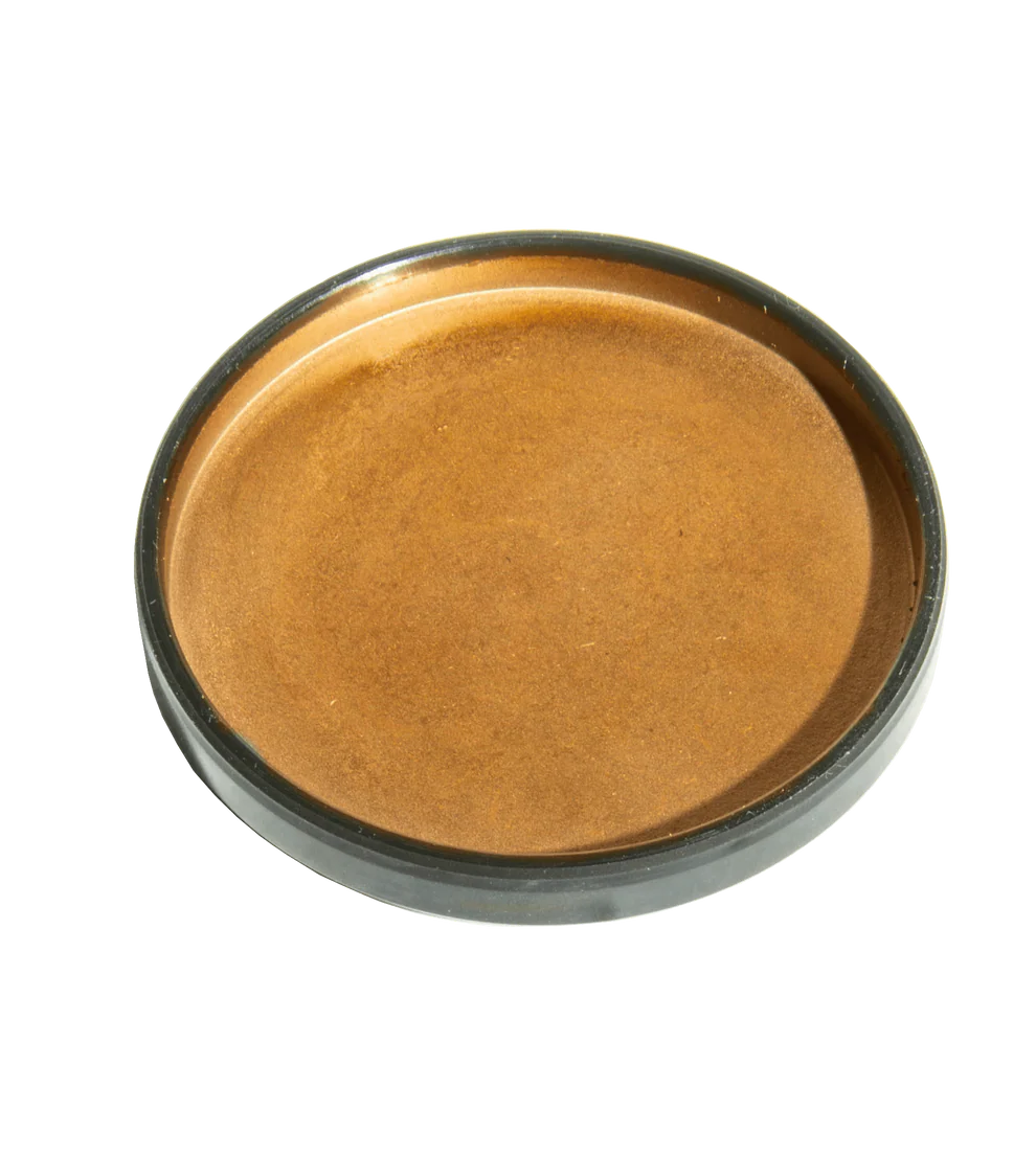 Big Dog 6 Speed Transmission Right Side Seal 