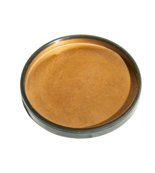 Big Dog 6 Speed Transmission Right Side Seal 